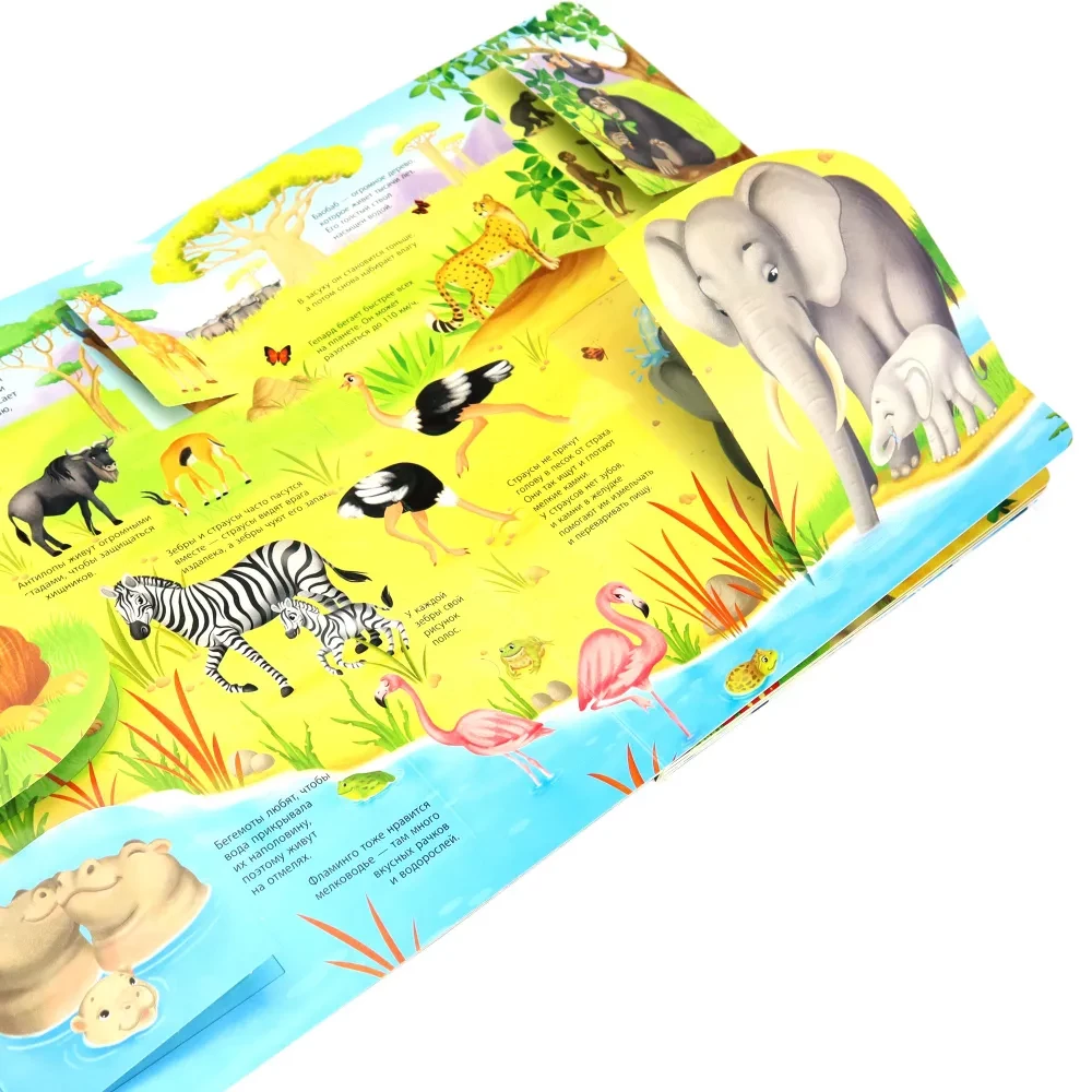Window to the World. Animals of the World