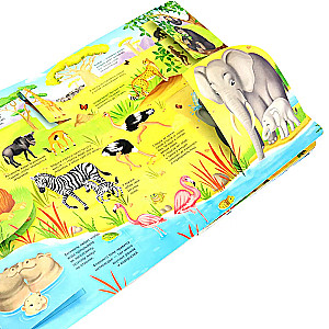 Window to the World. Animals of the World