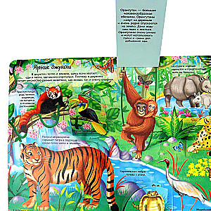 Window to the World. Animals of the World
