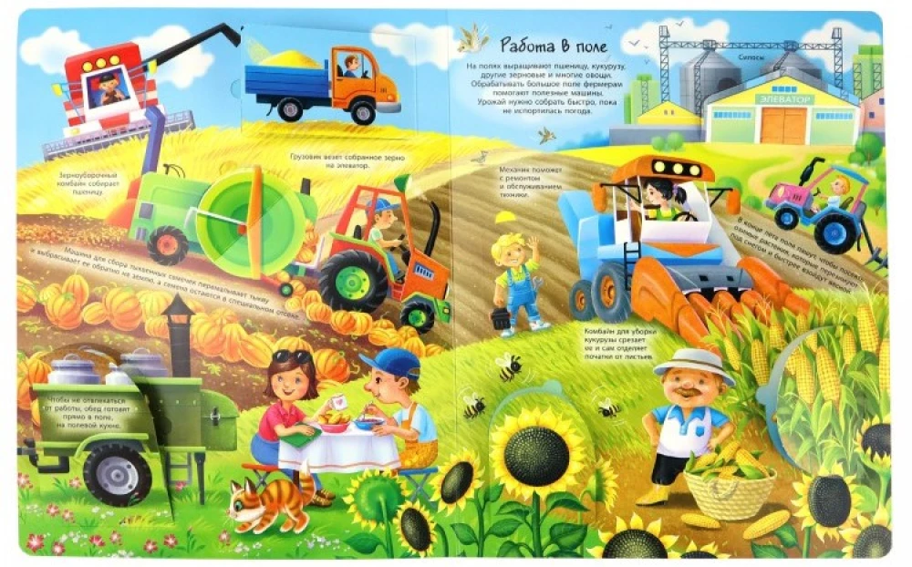 A Window to the World. How a Farm is Organized