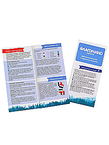 Board Game - Flagomino Europe