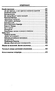 Rostov-the-Father. The History of the Criminal Capital of Russia. Late XVIII – Early XX Century.