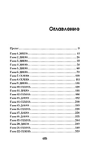 Семнадцатый