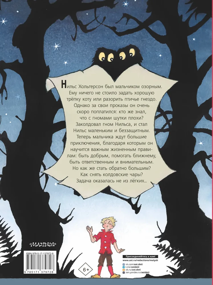 Die wunderbare Reise des Nils Holgersson mit den Wildgänsen