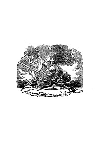 Henry the Sixth through the Eyes of Shakespeare