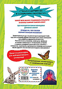 Самые необычные животные и места мира
