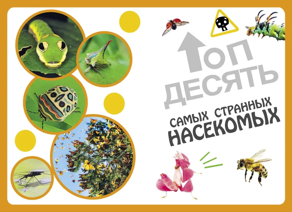 Самые необычные животные и места мира