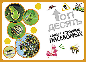 Самые необычные животные и места мира