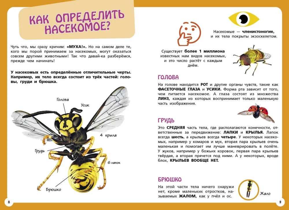 Самые необычные животные и места мира
