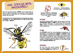 Самые необычные животные и места мира