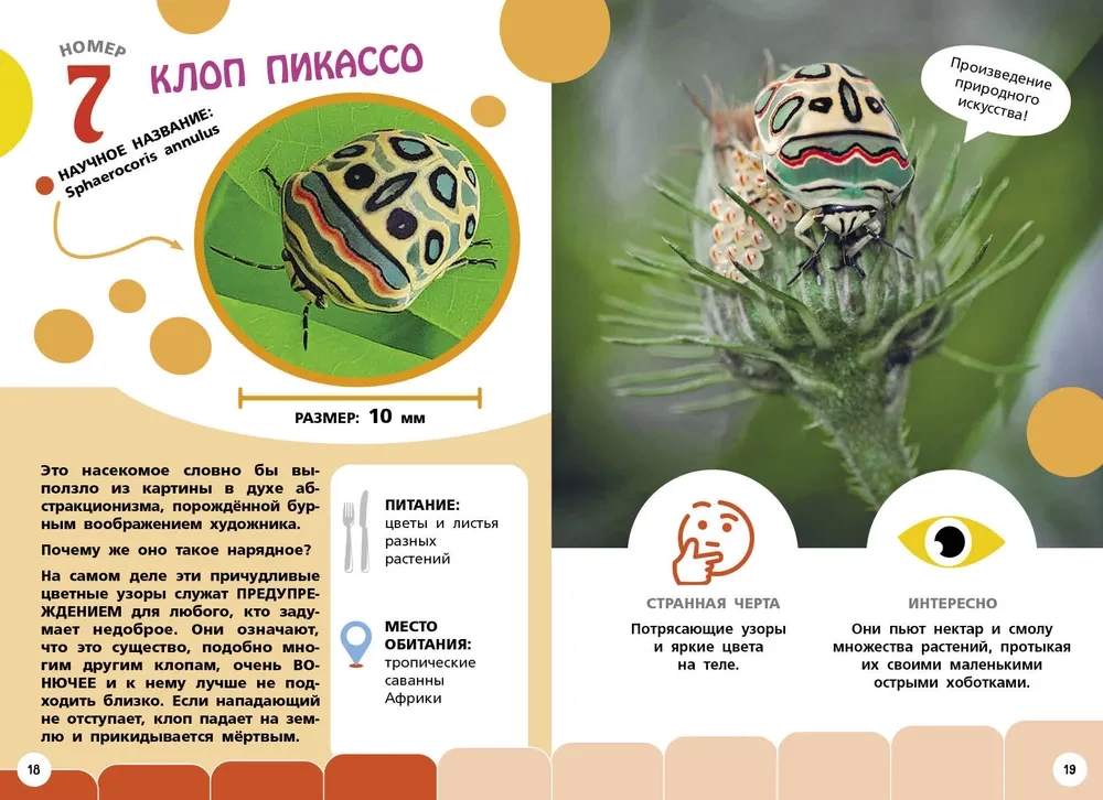 Самые необычные животные и места мира