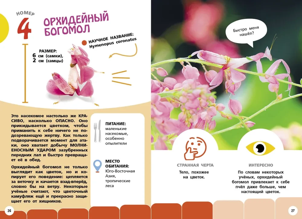 Самые необычные животные и места мира