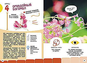 Самые необычные животные и места мира