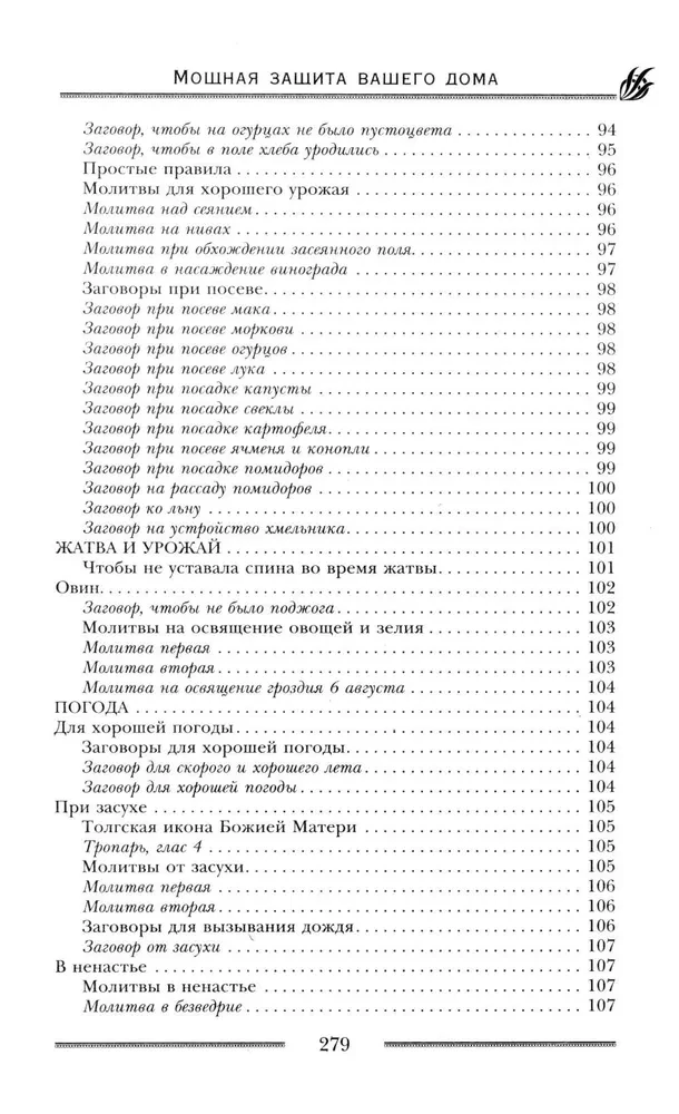 Мощная защита вашего дома. Заговоры и молитвы на крепость хозяйства