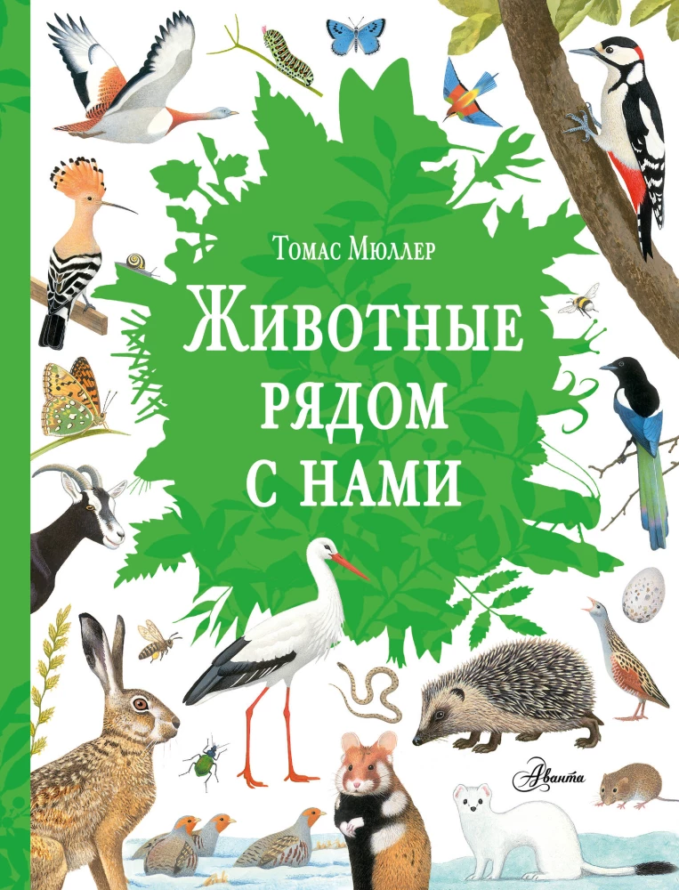Animals Around Us