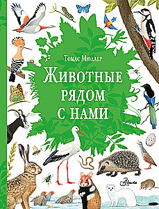 Animals Around Us