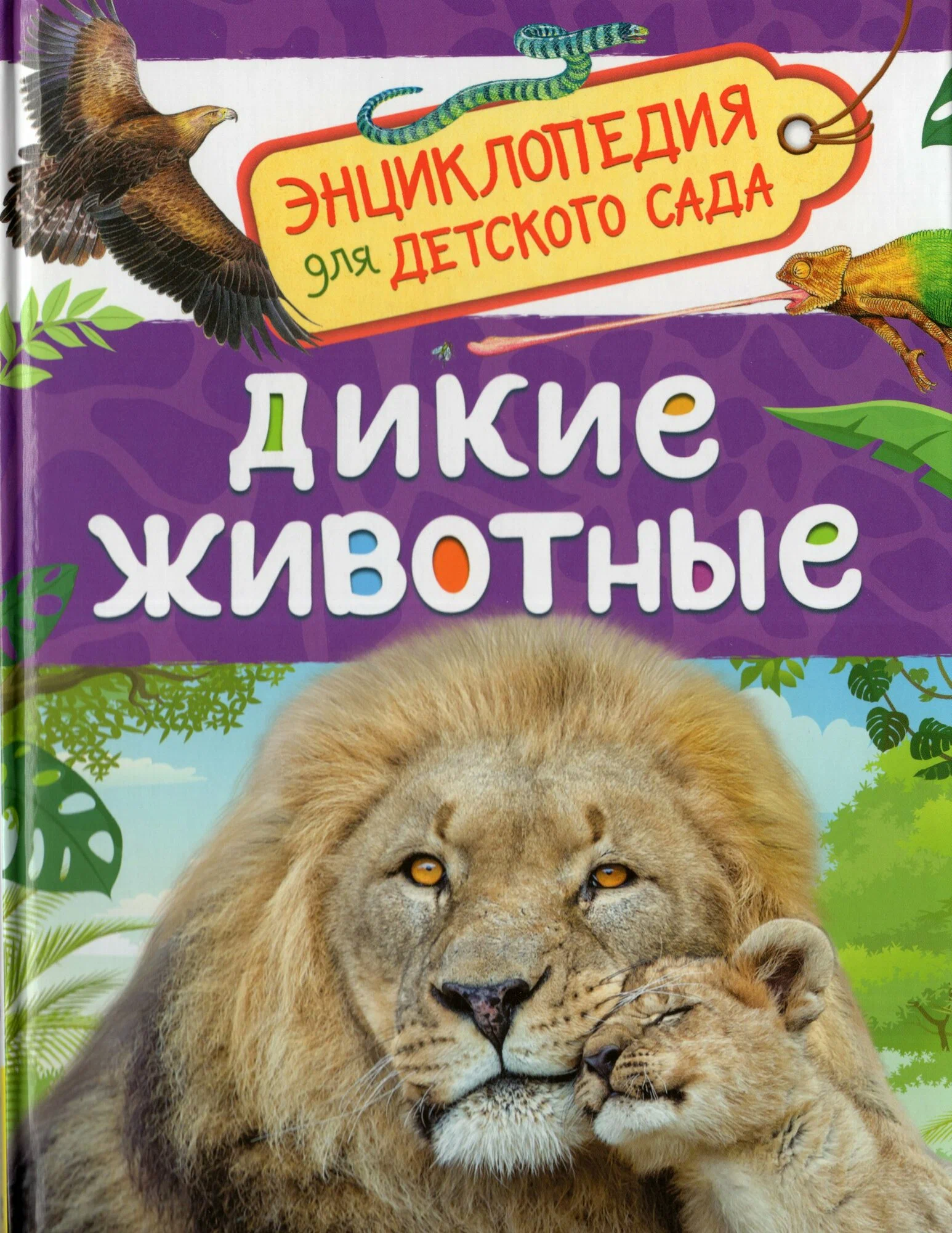Wild Animals