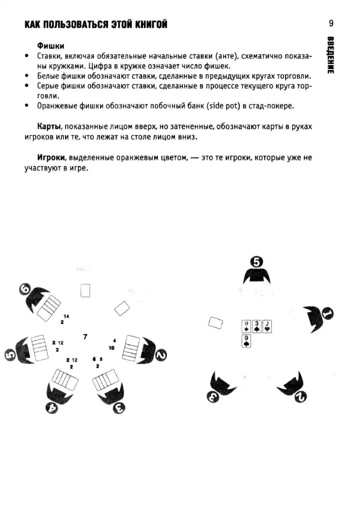 Poker. Lessons of a Winning Game from a Professional