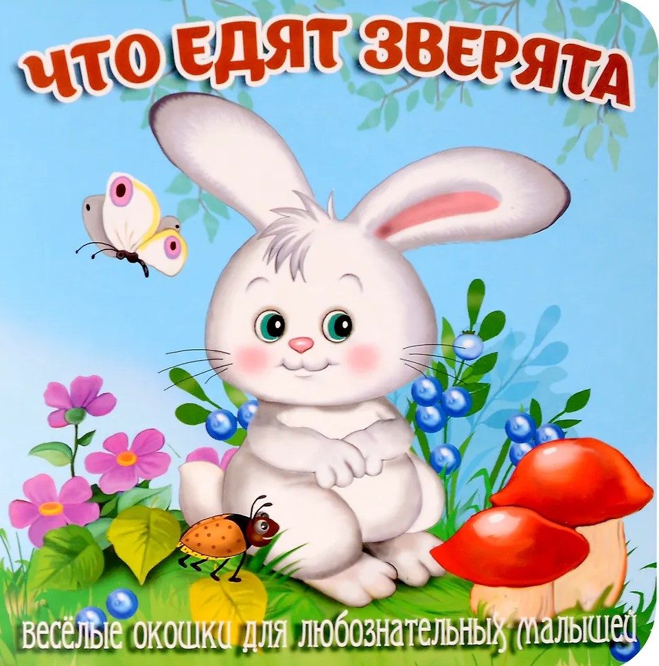 What do little animals eat