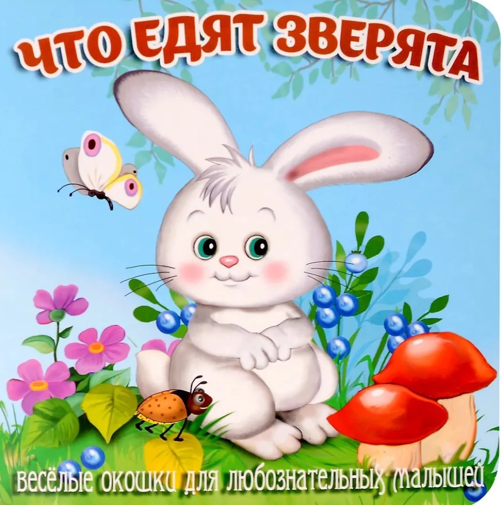 What do little animals eat