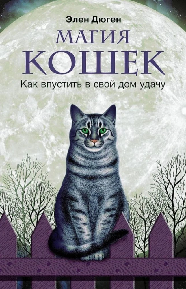 The Magic of Cats. How to Invite Luck into Your Home