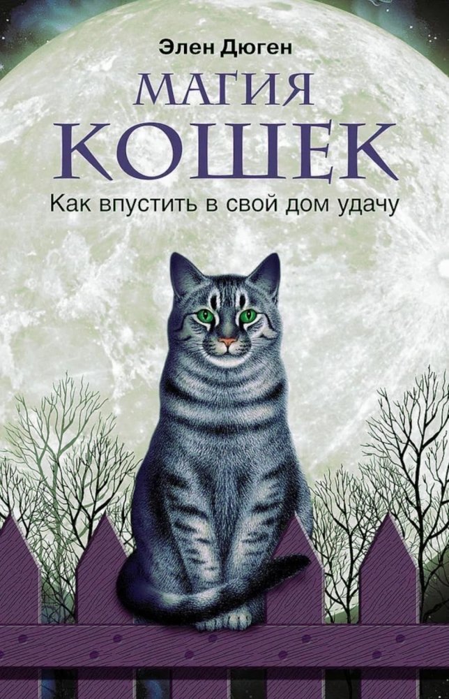 The Magic of Cats. How to Invite Luck into Your Home