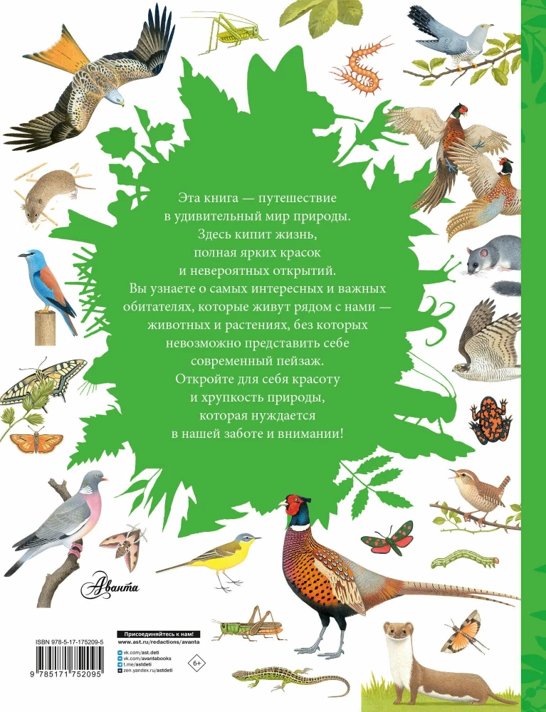 Animals Around Us