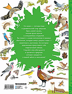 Animals Around Us