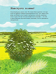 Animals Around Us