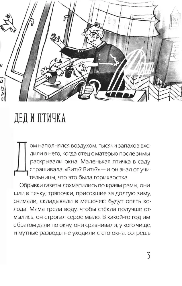 Obserwatorzy