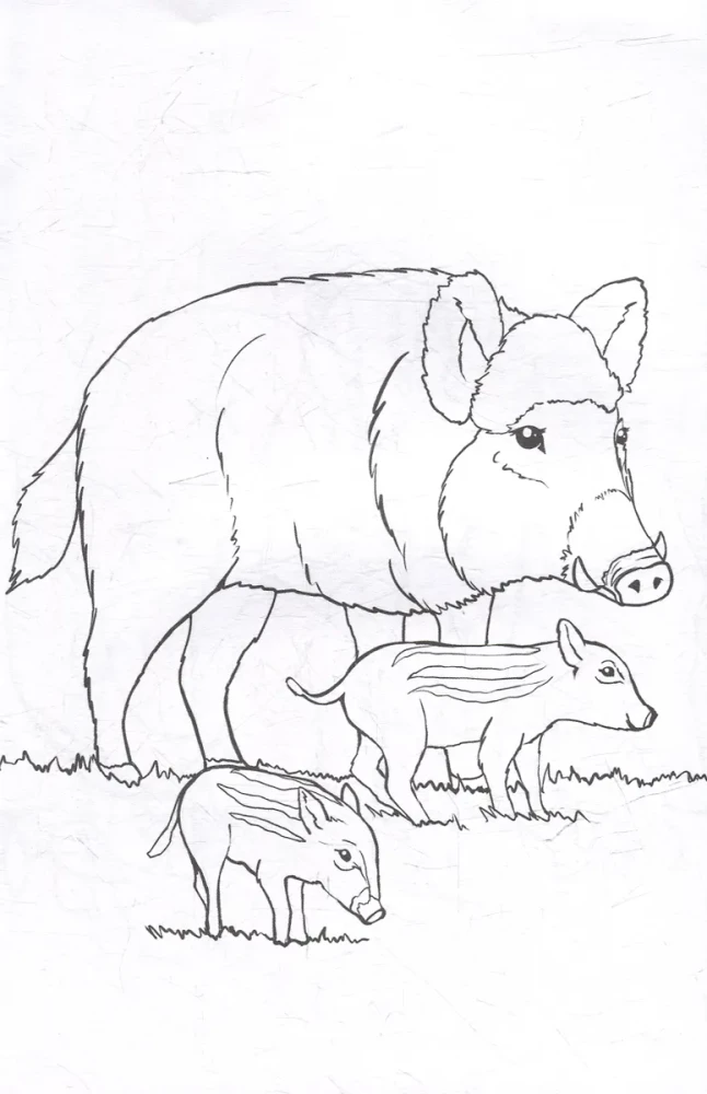 Coloring Book. Wild Animals