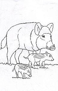Coloring Book. Wild Animals