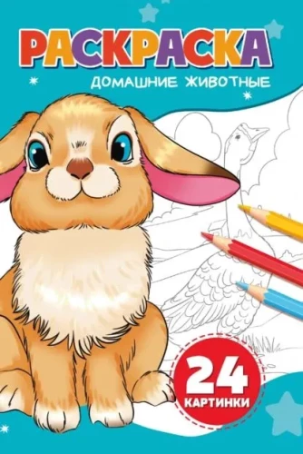 Coloring Book. Domestic Animals
