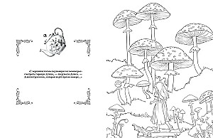 Alice in the Looking Glass. Coloring Journey. Book 2