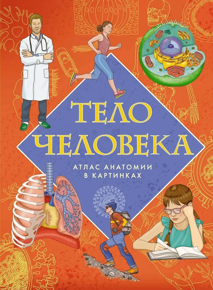 Ciało człowieka. Atlas anatomii w obrazkach