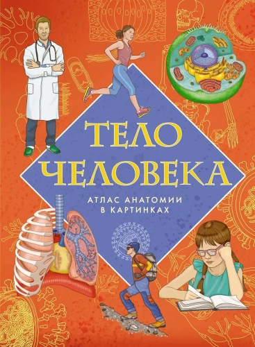 Ciało człowieka. Atlas anatomii w obrazkach
