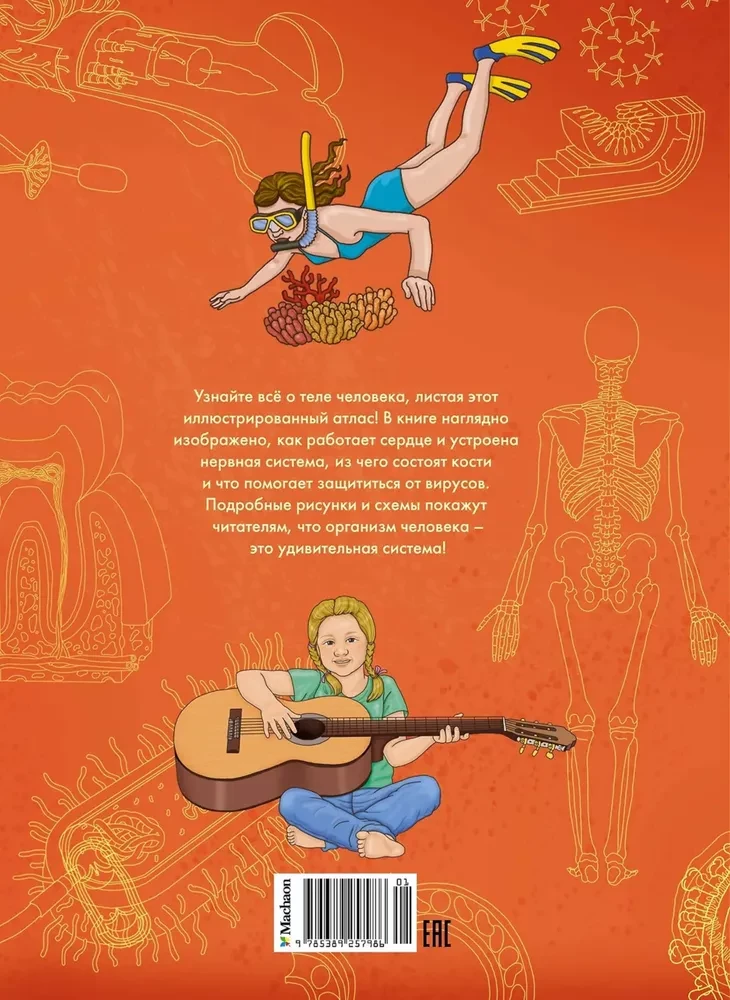 The Human Body. Anatomy Atlas in Pictures