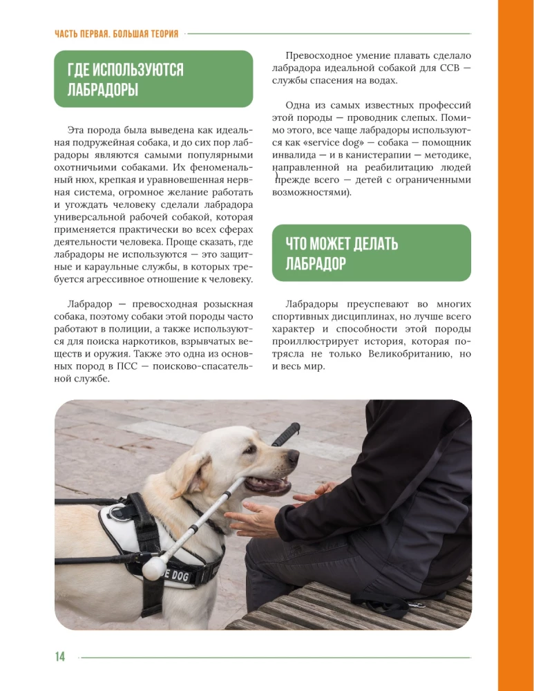 Główna książka właściciela labradora