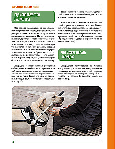 Główna książka właściciela labradora