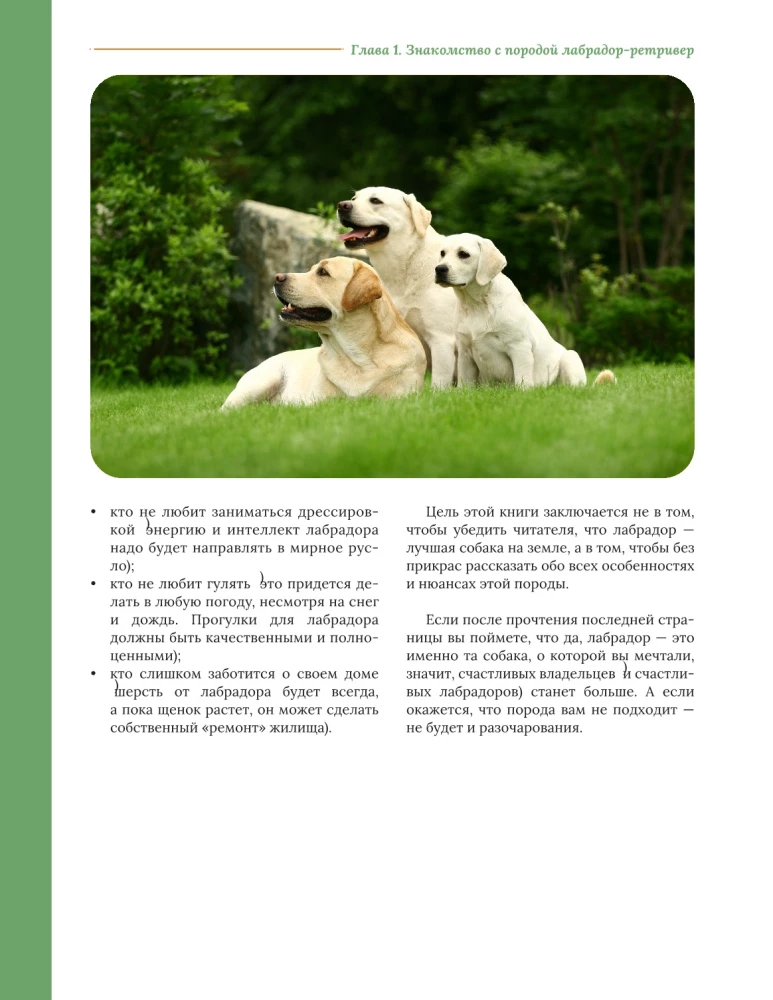 Główna książka właściciela labradora