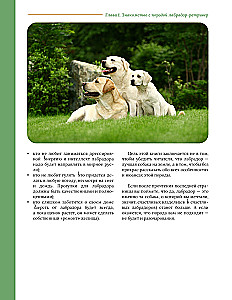 Główna książka właściciela labradora