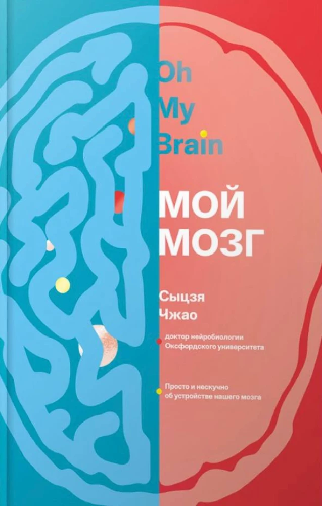 Мой мозг