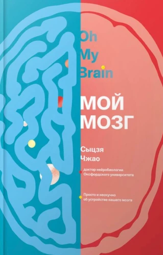 Мой мозг