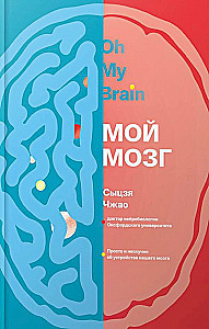 Мой мозг