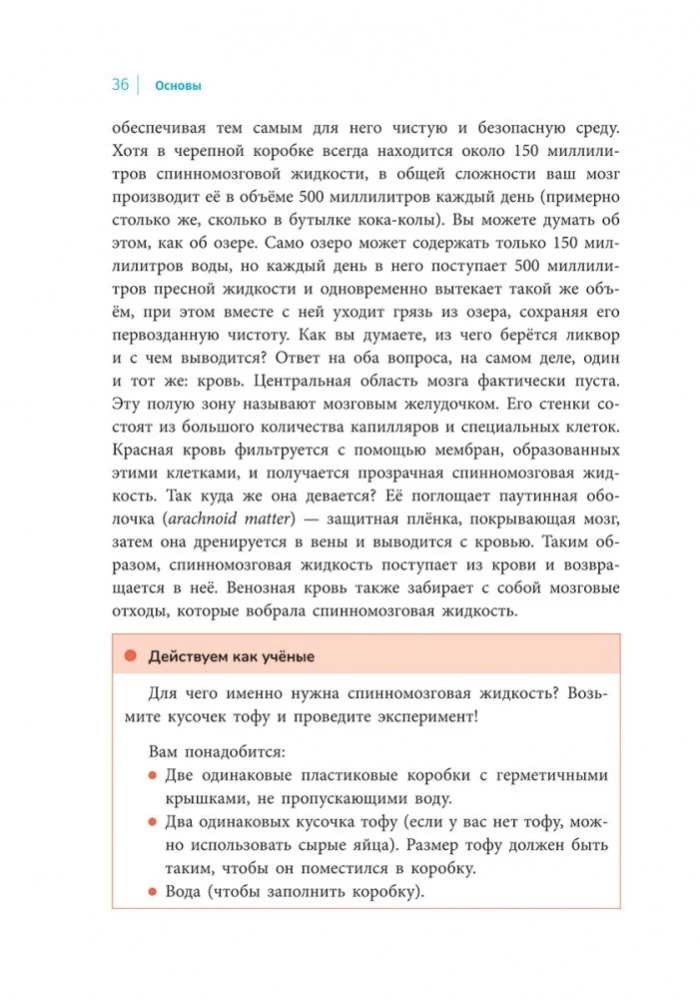 Мой мозг