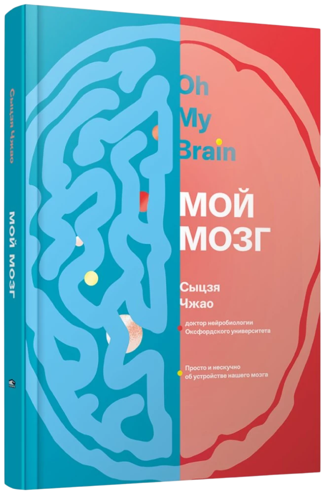 Мой мозг