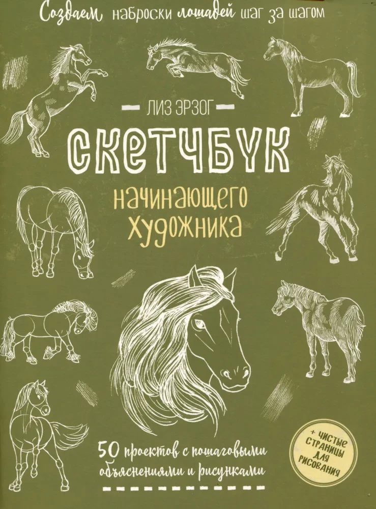 Sketchbook for the Beginning Artist. Creating Horse Sketches Step by Step