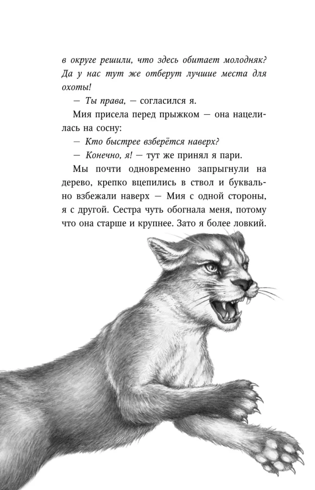 День огня