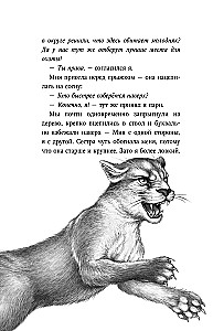 День огня