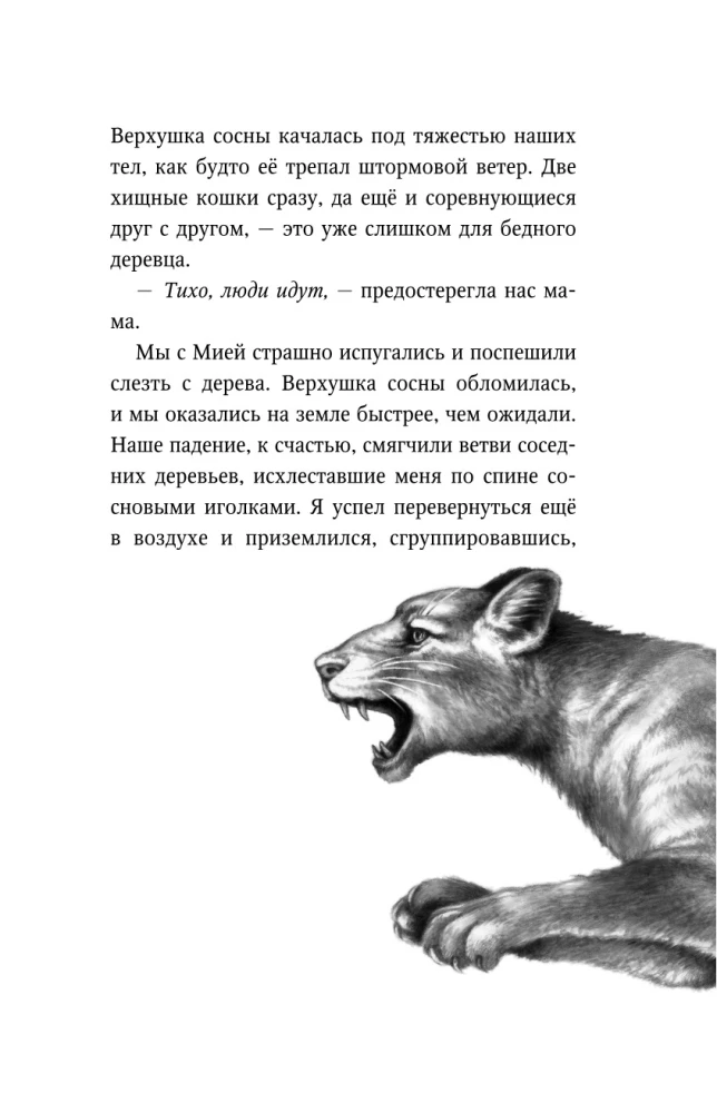 День огня